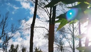 #витебск #мазурино 19-09-2025