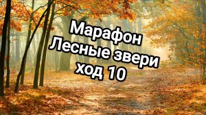 Марафон Лесные звери-ход 10