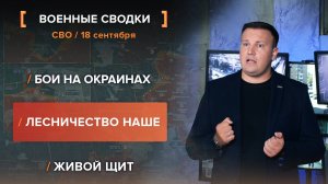 Бои на окраинах. Лесничество наше. Живой щит.