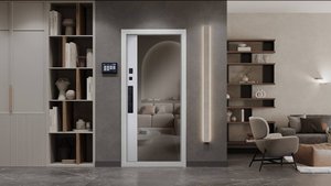 Стальная дверь Конструктор с зеркалом с биометрическим замком. Видеообзор завода АСД