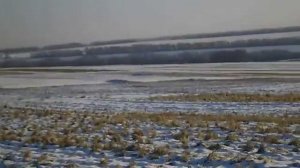 Зима 2014 года. "...Мороз и Солнце день чудесный..."
