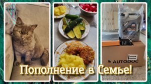 VLOG из 🇩🇪: Пополнение в семье. Домашние котлетки с пюре. Малосольные огурчики. Заказ с AUTODOC!