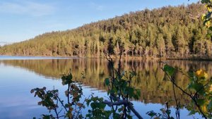 Осень на Кольском