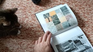 Мы с котом смотрим книгу