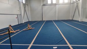 ЖП 3 спортивный, Клименко - Горбунова, ДТДиМ, Балансовое упражнение
