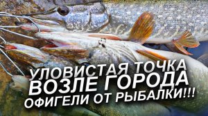 ЩУКА ОСЕНЬЮ НА СПИННИНГ! ЭТО ТРАЕЛЬНО РАБОЧИЙ ВОБЛЕР НА ЩУКУ ОСЕНЬЮ! РЫБАЛКА НА СПИННИНГ 2025