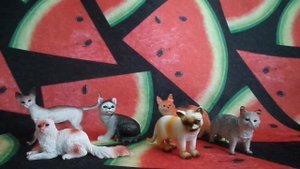 Обзор на набор фигурок кошек 6 шт.