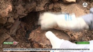 Маяки дружбы. Башни Кавказа - 2025