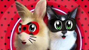 Делаем видосики😀😁