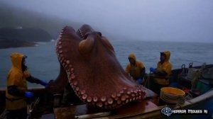 Videos and music created by AI