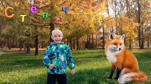 Встреча с лисой в парке