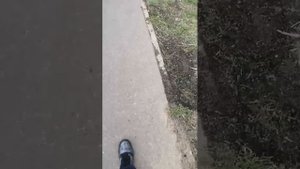 стрим с Жекой