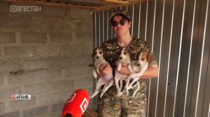 Зоозащитница из Дагестана обратилась за помощью к главе республики Сергею Меликову