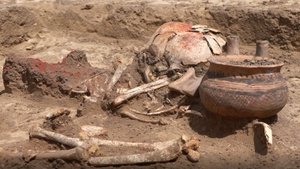 Археологи изучили 12 курганов.