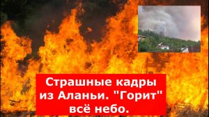 Страшные кадры из Аланьи. "Горит" всё небо. Воды нет, экстренно подняты вертолёты: Что известно