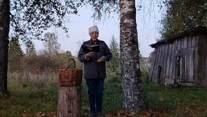 Николай Рубцов «У сгнившей лесной избушки».