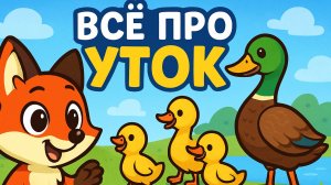 Все про уток. Развивающее видео для детей.