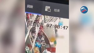 Кот ограбил магазин, усыпив бдительность продавца