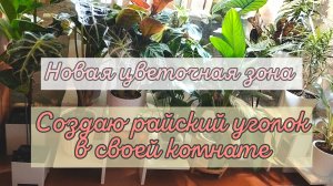 НОВАЯ ЦВЕТОЧНАЯ ЗОНА | СОЗДАЮ РАЙСКИЙ УГОЛОК В СВОЕЙ КОМНАТЕ