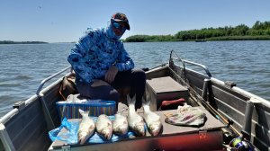 "Альпийская деревня". Астрахань. Раздача жереха! Мы еще вернемся...