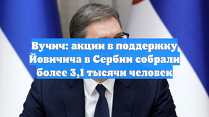 Вучич: акции в поддержку Йовичича в Сербии собрали более 3,1 тысячи человек
