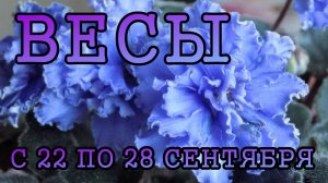 ВЕСЫ таро прогноз на неделю с 22 по 28 СЕНТЯБРЯ 2025 года.