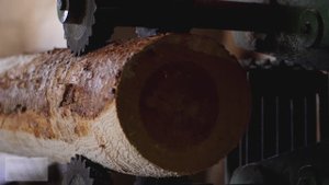 Дом из бревна. Производство