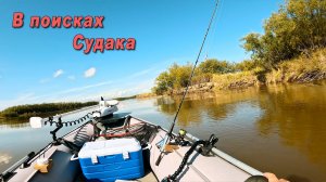 Ищу СУДАКА осенью, во время кетовой