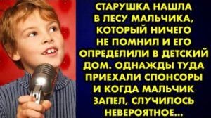 Старушка нашла в лесу мальчика, который ничего не помнил и его определили в детский дом. Однажды...