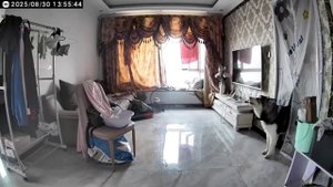Ситуация максимально тревожная 😡😳😱