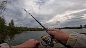 Щука не давала скучать.Рыбалка на дальнем озере 🐾🐾😼🎣🎣🐟🔭📿📿🌲🌲