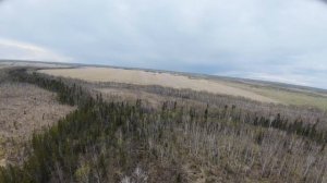 р. Большая Уря. 20 км