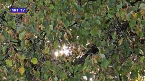 Парламентарии предложили засчитывать декрет в трудовой стаж в двойном размере