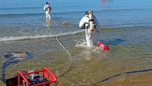 Очистка дна Чёрного моря от мазута в прибрежной зоне Анапы и Темрюкского района