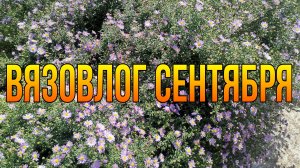 Вязовлог//Сентябрь 2025 🍁🍃//Заказы, новые игрушечки.