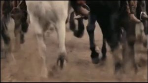 Поле битвы ( кавер)