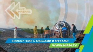 На Землю вернулся уникальный биоспутник из живых организмов. Чем он занимался в космосе?