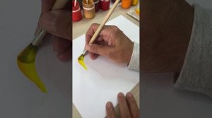 Веточка фезалиса