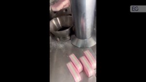 Роторный пресс DGS-15В (трехслойная таблетка для посудомоечных машин)