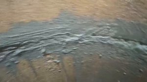 Ст. Заозёрный. Ввёёдра ннада?)