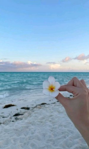 приветик 🎀💕