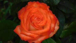 19=09=2025  кмр   (3)