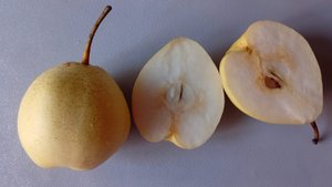 ВАРЕНЬЕ из САДОВЫХ ГРУШ со СВОЕГО ОГОРОДА