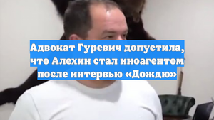 Адвокат Гуревич допустила, что Алехин стал иноагентом после интервью «Дождю»
