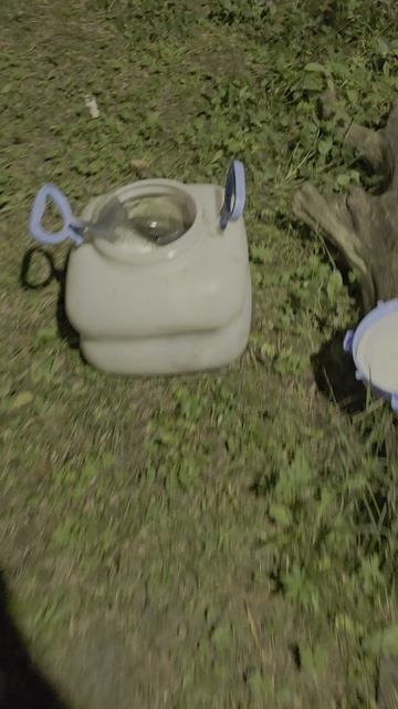 Отчёт о рыбалке 19.09.2025 смотреть онлайн