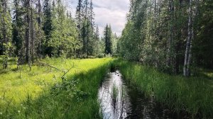 Сплав по Суле. Часть 11: Печорский тракт от избы Половина до Фоминской.