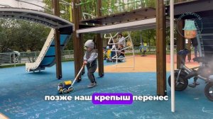 Абубакр год спустя