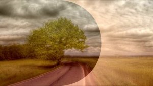 Stella Maris - Angel-Ina