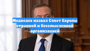 Медведев назвал Совет Европы странной и бессмысленной организацией