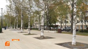 Судьба берез на бульваре Кузнецова